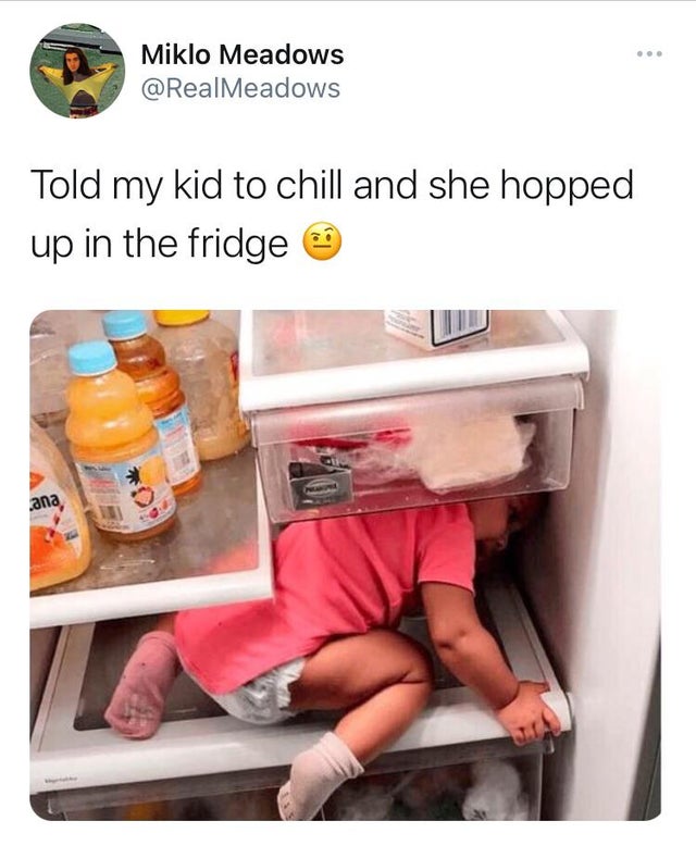Miklo Meadows Told my kid to chill and she hopped up in the fridge ana,