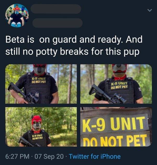 team sport - Beta is on guard and ready. And still no potty breaks for this pup K9 Unit Do Not Pet K9 Unit Do Not Pet K9 Unit Do Not Pet K9 Unit Do Not Pet 07 Sep 20 Twitter for iPhone