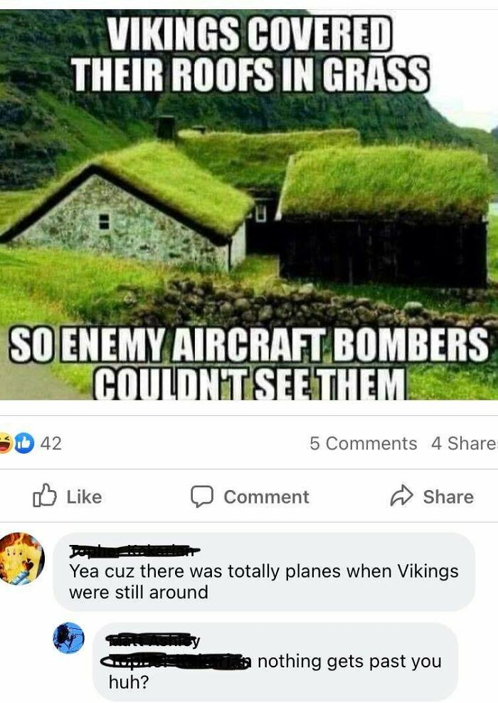 vikings cover their roofs with grass - Vikings Covered Their Roofs In Grass So Enemy Aircraft Bombers Couldnit See Them 42 5 4 Comment Yea cuz there was totally planes when Vikings were still around nothing gets past you huh?