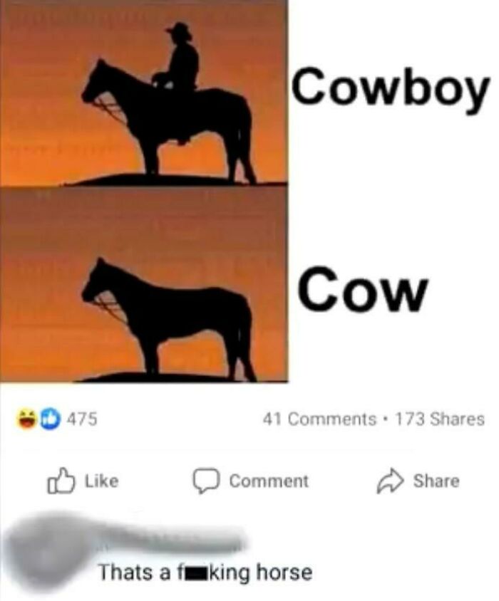 cowboy cow meme - Cowboy Cow 475 41 173 Comment Thats a fuking horse