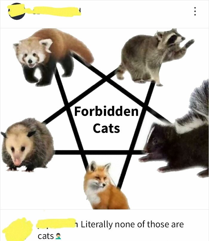 pentagon satan - Forbidden Cats 7 Literally none of those are cats