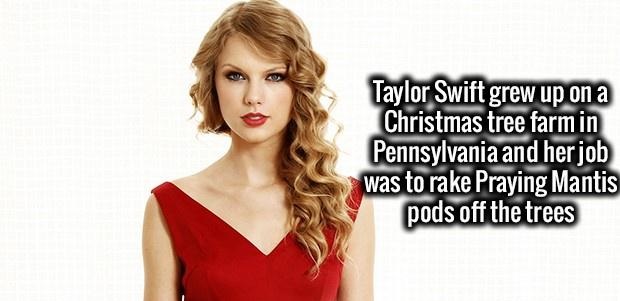 taylor swift red dress short - Taylor Swift grew up on a Christmas tree farmin Pennsylvania and her job was to rake Praying Mantis pods off the trees