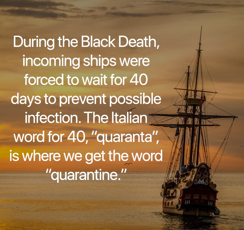 interesting facts -- During the Black Death, incoming ships were forced to wait for 40 days to prevent possible infection. The Italian word for 40,