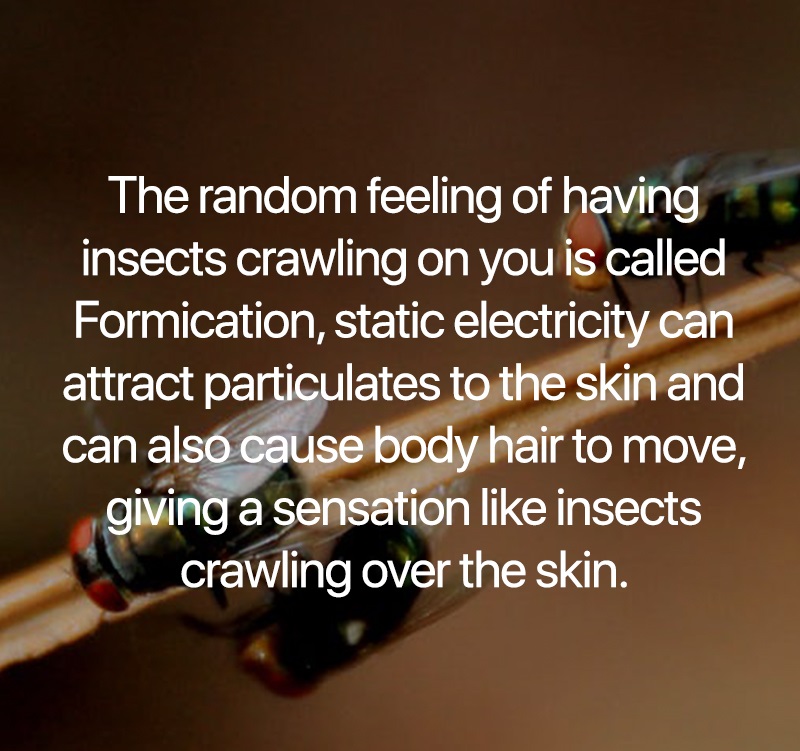 interesting facts - The random feeling of having insects crawling on you is called Formication, static electricity can attract particulates to the skin and can also cause body hair to move, giving a sensation insects crawling over the skin.