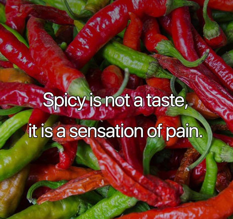 interesting facts - Spicy is not a taste, it is a sensation of pain.