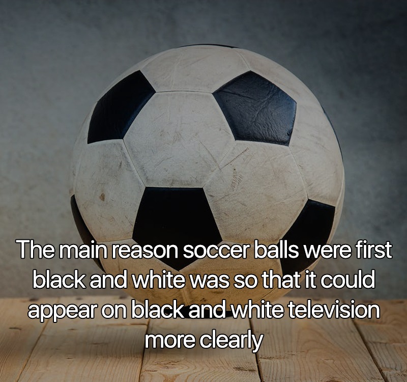 interesting facts - The main reason soccer balls were first black and white was so that it could appear on black and white television more clearly