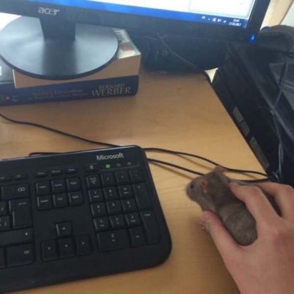 my mouse not working - acer Verber Microsoft