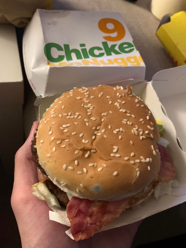 moldy mcdonalds - 9 Chicke