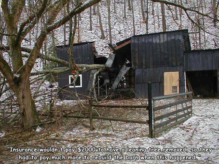 funny fail pics - insurance wouldn't pay $2000 to have a leaning tree removed so they had to pay much more to rebuild the barn when this happened