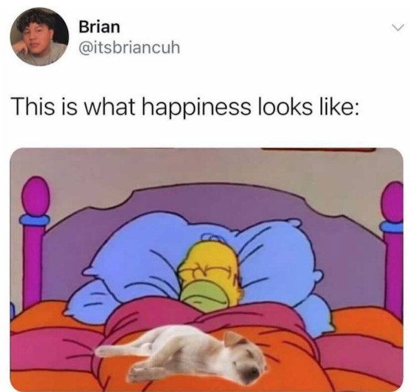 sleeping meme - Brian This is what happiness looks