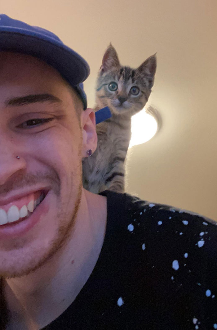 wholesome pics - man posing with kitten he adopted