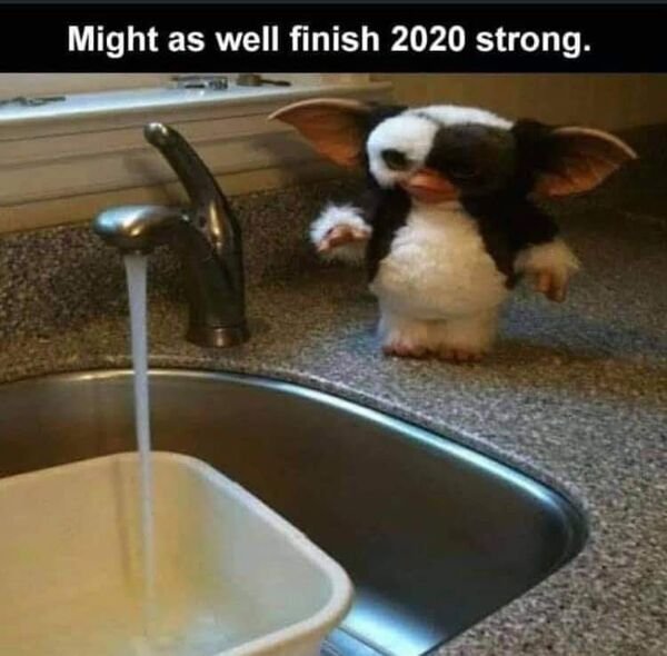 funny memes - might as well finish 2020 strong gremlins next to running water