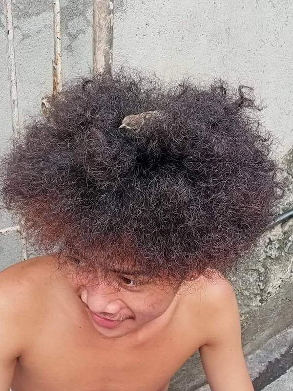 funny memes - kid with animal sitting on his afro