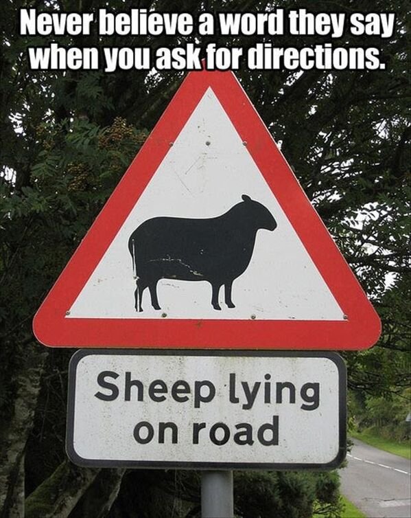 funny memes - never believe a word they say when you ask for directions