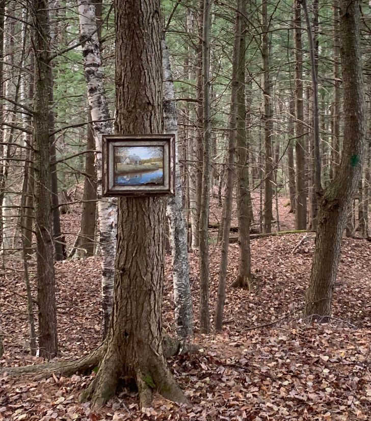 cool pics - painting of the woods hung on a tree in the woods