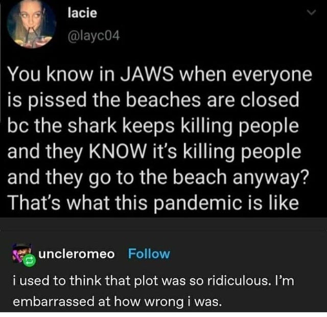atmosphere - lacie You know in Jaws when everyone is pissed the beaches are closed bc the shark keeps killing people and they Know it's killing people and they go to the beach anyway? That's what this pandemic is uncleromeo i used to think that plot was s