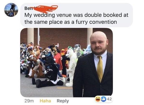 Furry convention - Ben My wedding venue was double booked at the same place as a furry convention 29m Haha 42