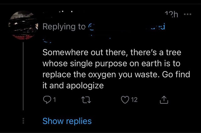 funny comments - Somewhere out there, there's a tree whose single purpose on earth is to replace the oxygen you waste. Go find it and apologize