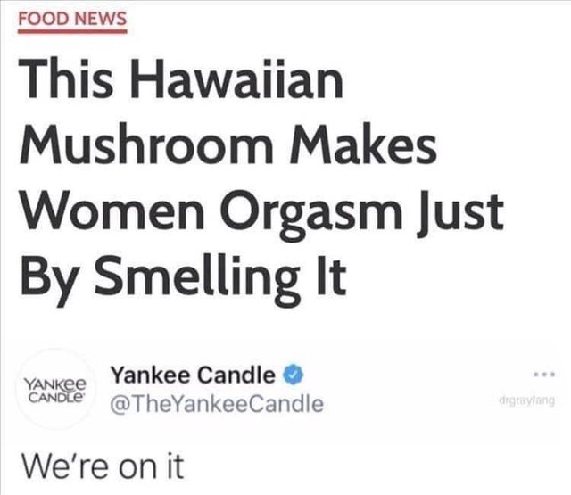 funny comments - This Hawaiian Mushroom Makes Women Orgasm Just By Smelling It - YANKee candle We're on it