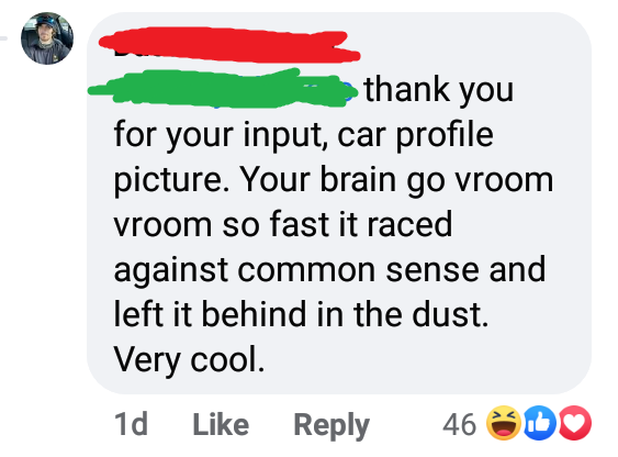 funny comments - thank you for your input, car profile picture. Your brain go vroom vroom so fast it raced against common sense and left it behind in the dust. Very cool.