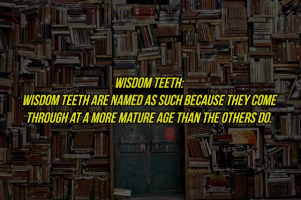 building with books - Wisdom Teeth Wisdom Teeth Are Named As Such Because They Come Through At A More Mature Age Than The Others Do.