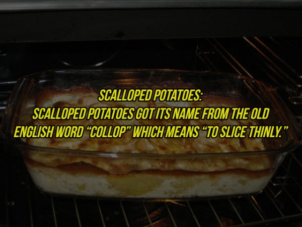 Potato - Scalloped Potatoes Scalloped Potatoes Got Its Name From The Old English Word Collop Which Means To Slice Thinly."