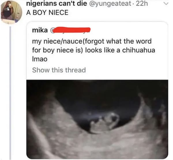 Language - nigerians can't die . 22h A Boy Niece mika my niecenauceforgot what the word for boy niece is looks a chihuahua Imao Show this thread