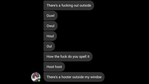 screenshot - There's a fucking oul outside Ouwl Owul Houl Oul How the fuck do you spell it Hoot hoot There's a hooter outside my windoe