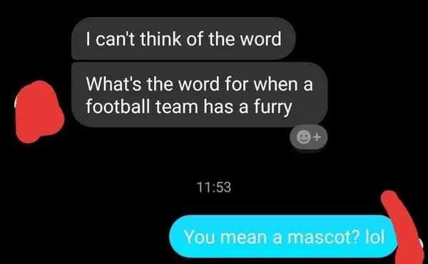 Mascot - I can't think of the word What's the word for when a football team has a furry You mean a mascot? lol