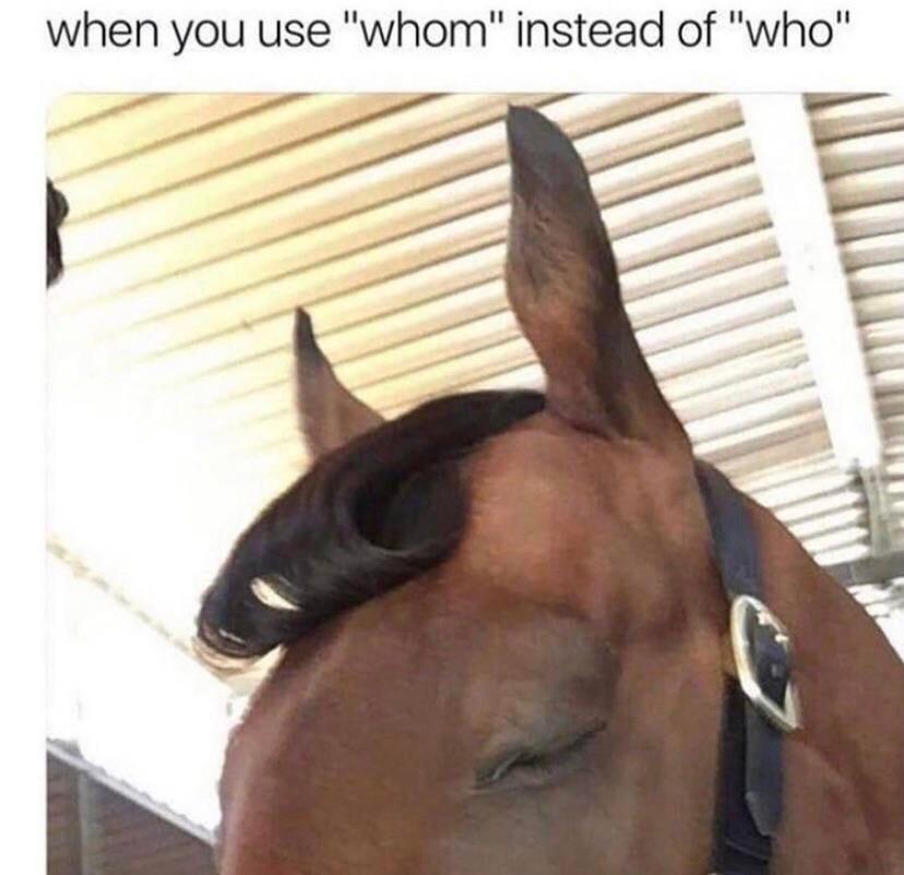 whom memes - when you use "whom" instead of "who"