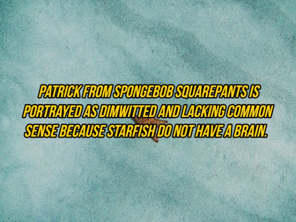 sky - Patrick From Spongebob Squarepants Is Portrayed As Dimwitted And Lacking Common Sense Becausestarfish Do Not Haveabrain.