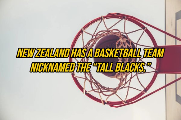 Basketball - New Zealand Has A Basketball Team Nicknamed The Tall Blacks.
