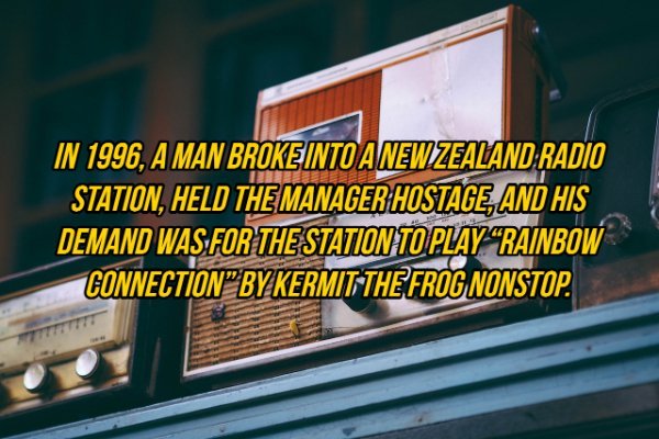 In 1996, A Man Broke Into A New Zealand Radio Station, Held The Manager Hostage, And His Demand Was For The Station To Playrainbow ConnectionbykermitThe Frog Nonstop.