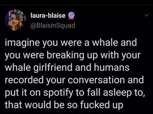 atmosphere - laurablaise Squad imagine you were a whale and you were breaking up with your whale girlfriend and humans recorded your conversation and put it on spotify to fall asleep to, that would be so fucked up