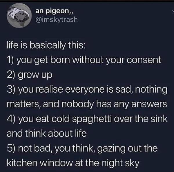 bad is good for you - an pigeon, life is basically this 1 you get born without your consent 2 grow up 3 you realise everyone is sad, nothing matters, and nobody has any answers 4 you eat cold spaghetti over the sink and think about life 5 not bad, you thi
