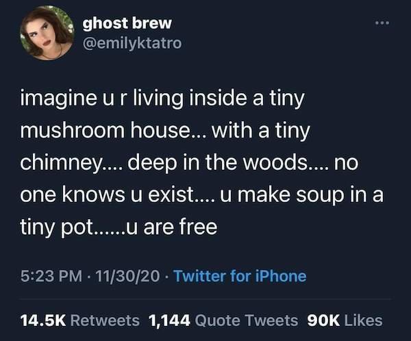 screenshot - ghost brew imagine u r living inside a tiny mushroom house... with a tiny chimney.... deep in the woods.... no one knows u exist.... u make soup in a tiny pot......u are free 113020. Twitter for iPhone 1,144 Quote Tweets 90K