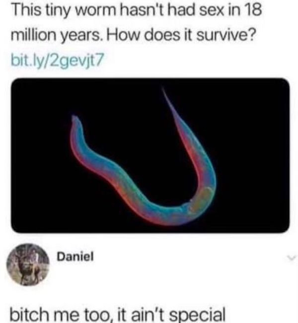 worm sex meme - This tiny worm hasn't had sex in 18 million years. How does it survive? bit.ly2gevjt7 Daniel bitch me too, it ain't special