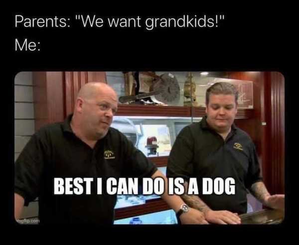 fall guys vs among us memes - Parents 'We want grandkids' Me Best I Can Do Is A Dog