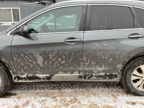 cool pics - car with marks from goats licking it
