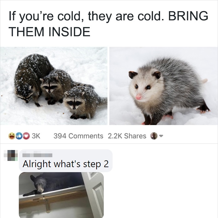 if youre cold theyre cold bring them inside - If you're cold, they are cold. Bring Them Inside Do 3K 394 Alright what's step 2