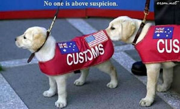 customs airport sydney - No one is above suspicion. olm.se Cus Customs
