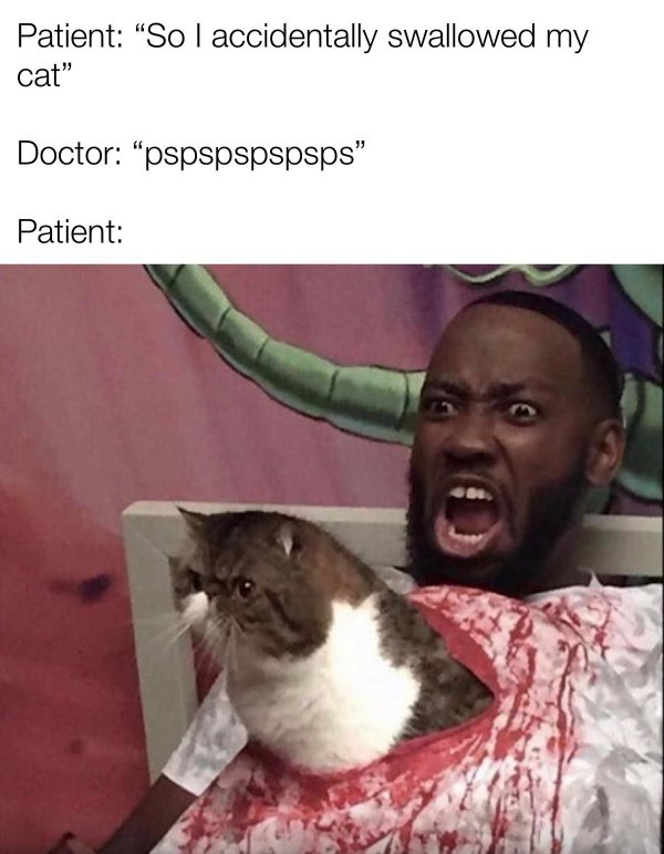 chinese food is undercooked - Patient So I accidentally swallowed my cat" Doctor pspspspspsps" Patient