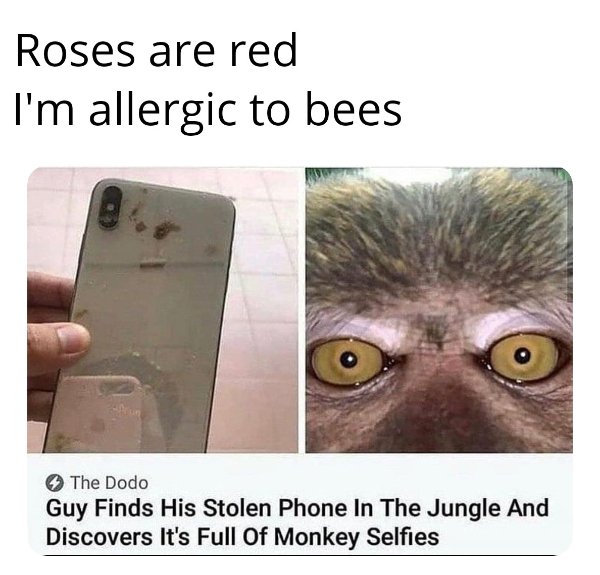 person tried to unlock your phone meme - Roses are red I'm allergic to bees The Dodo Guy Finds His Stolen Phone In The Jungle And Discovers It's Full Of Monkey Selfies