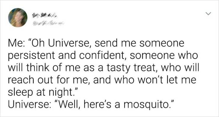 laugh everyday funny relatable memes - > Me Oh Universe, send me someone persistent and confident, someone who will think of me as a tasty treat, who will reach out for me, and who won't let me sleep at night." Universe "Well, here's a mosquito.