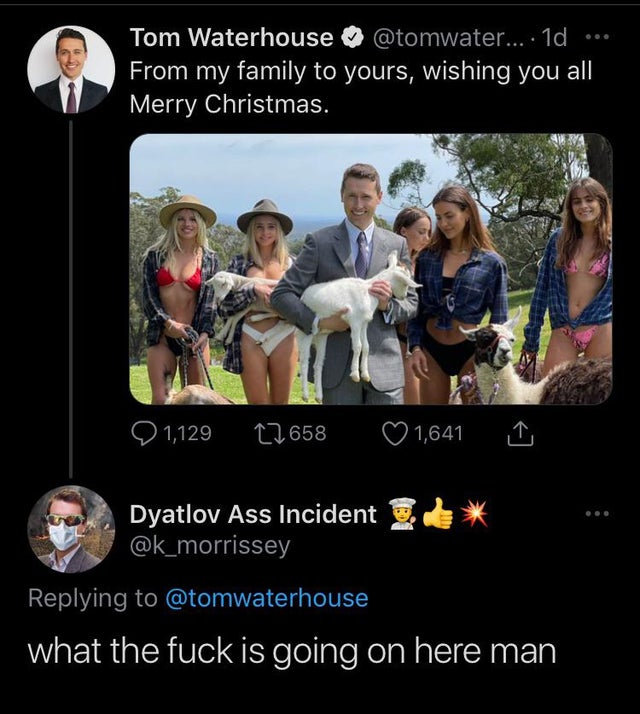 photo caption - Tom Waterhouse ..... 1d From my family to yours, wishing you all Merry Christmas. 1,129 12658 1,641 Dyatlov Ass Incident what the fuck is going on here man
