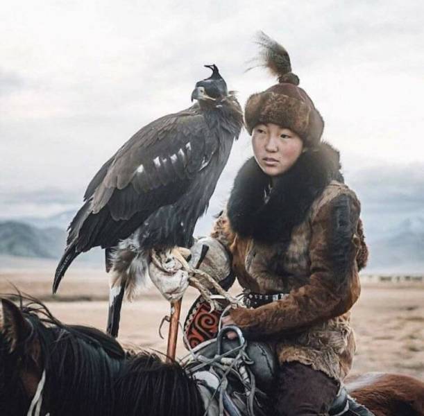 mongolian eagle hunters