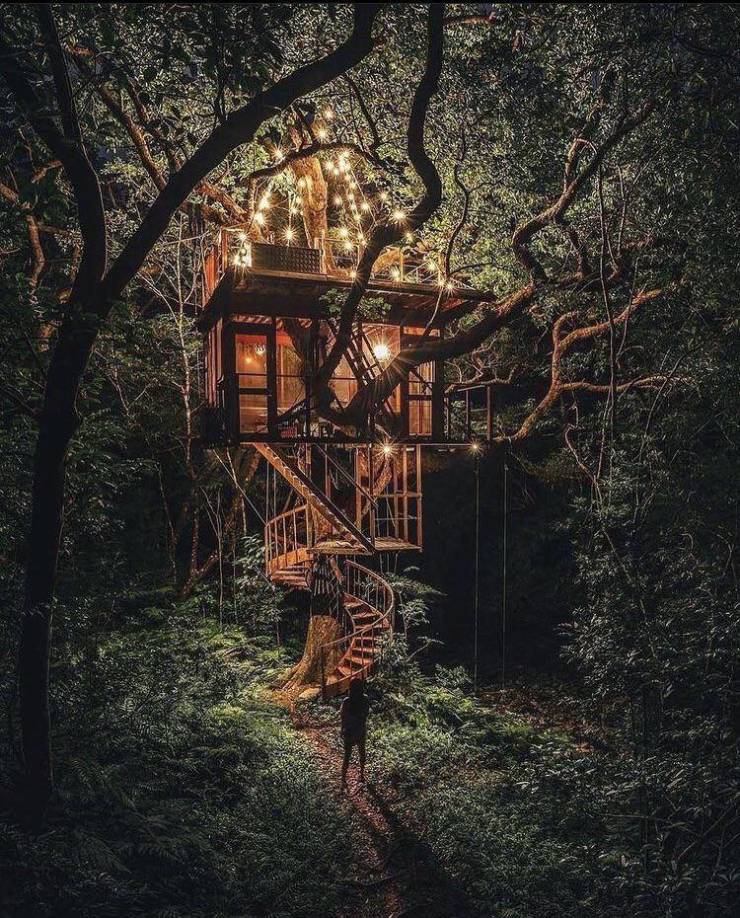 “Now this is what you call a treehouse.”