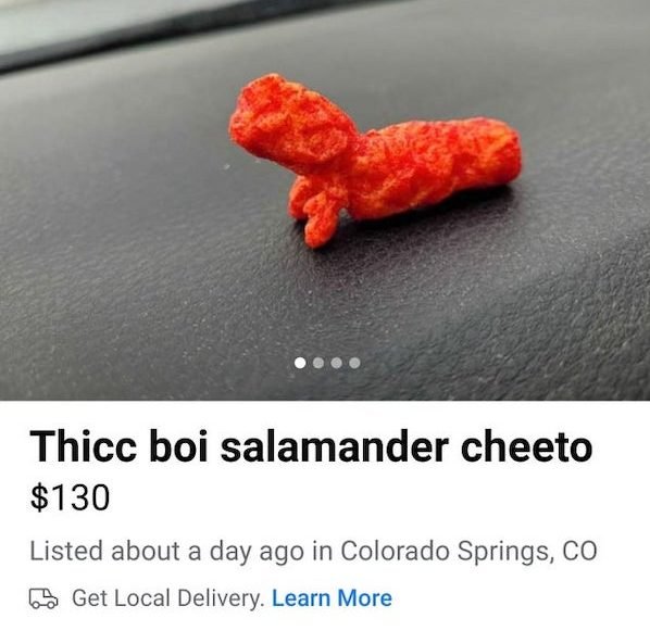 orange - Thicc boi salamander cheeto $130 Listed about a day ago in Colorado Springs, Co Gd Get Local Delivery. Learn More