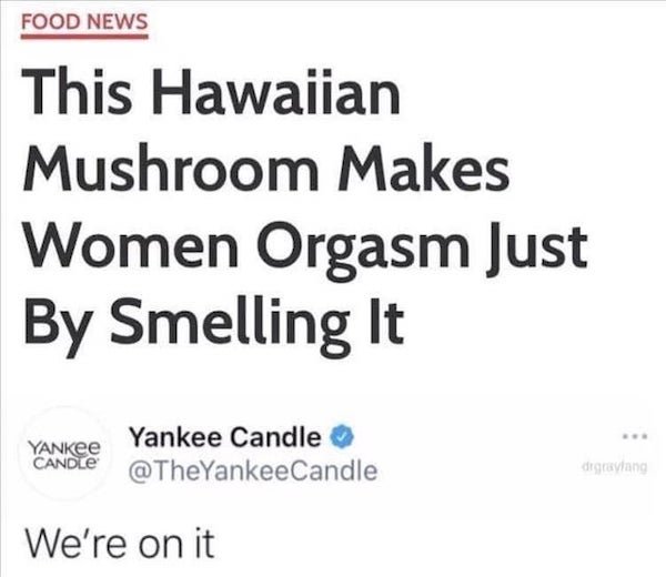 Yankee Candle - Food News This Hawaiian Mushroom Makes Women Orgasm Just By Smelling It Yankee Yankee Candle Candle digravlang We're on it