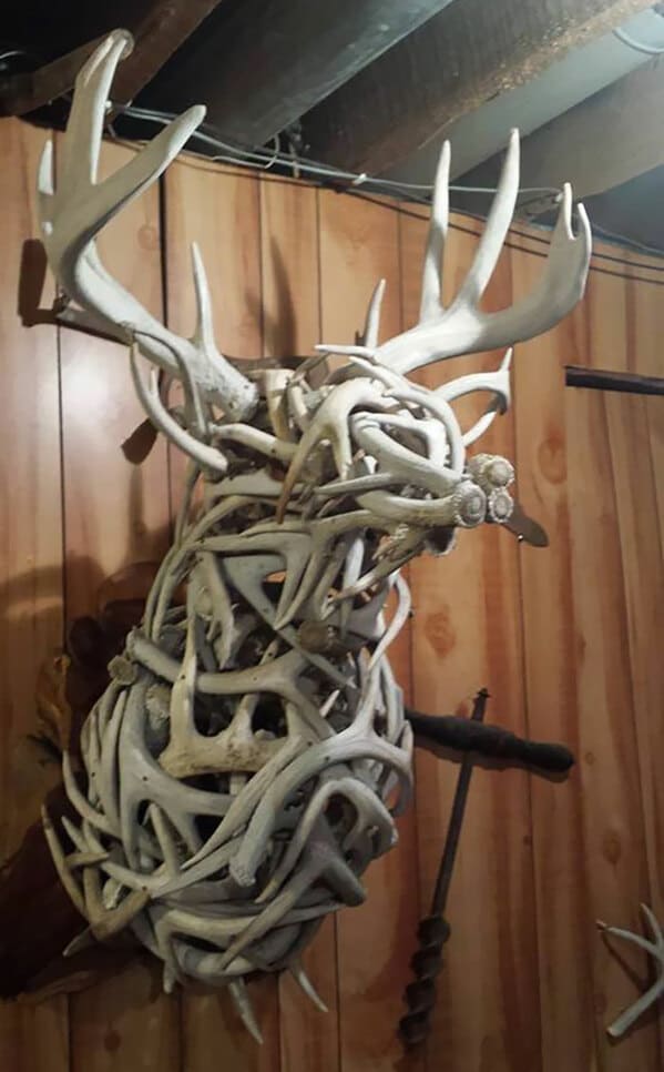 deer mount made out of antlers - 7